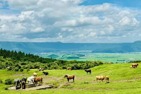 Fukuoka: Mt. Aso Volcano, Kusasenri & Grasslands Day Tour 7:40 Hakata Station Chikushi Exit Lawson Meetup