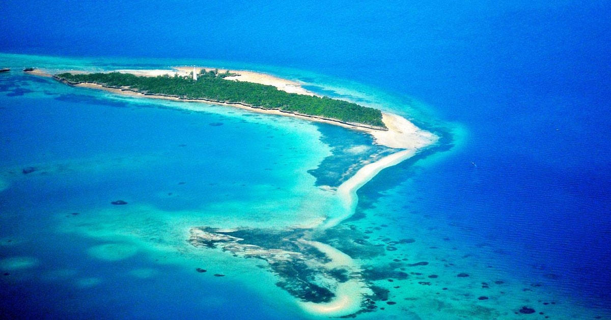 Snorkling ved Mnemba-atollen | GetYourGuide