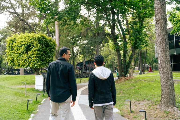 Mexico City: Modern Art Museum with Art Experts