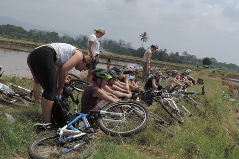 Moshi: Rau Forest Guided Bike Tour
