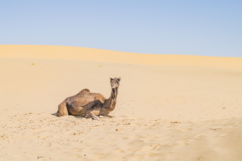 Entdecke Rajasthan mit neun StädtenEntdecke Rajasthan mit Nine Cities 14 Tage