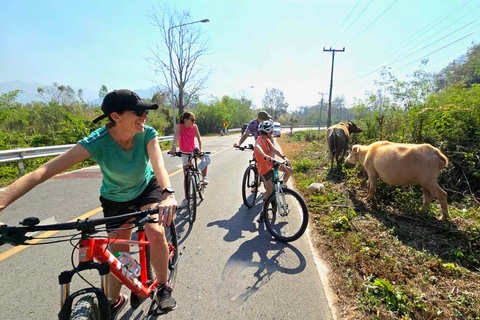 جولة شيانغ ماي بالدراجة: في ريف لانا مع مرشدرحلة ركوب الدراجات المشتركة لاستكشاف ريف لانا
