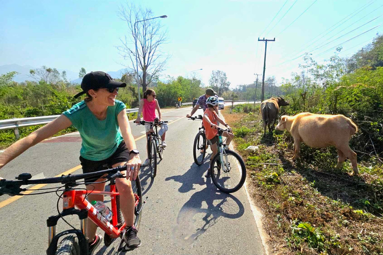 جولة شيانغ ماي بالدراجة: في ريف لانا مع مرشدرحلة ركوب الدراجات المشتركة لاستكشاف ريف لانا