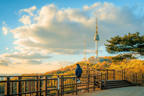 Seoul: N Seoul Tower Observatory Ticket