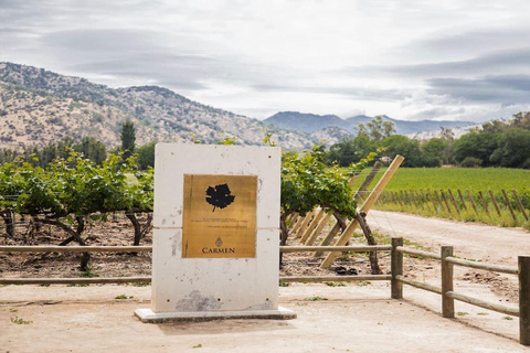 Santiago: Santa Rita Premium Winery Tour & 5 Wine Tasting