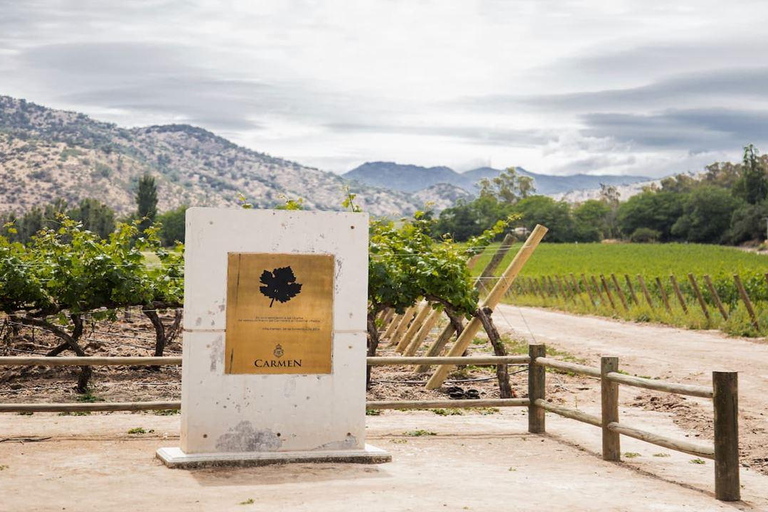 Santiago: Santa Rita Premium Winery Tour & 5 Wine Tasting