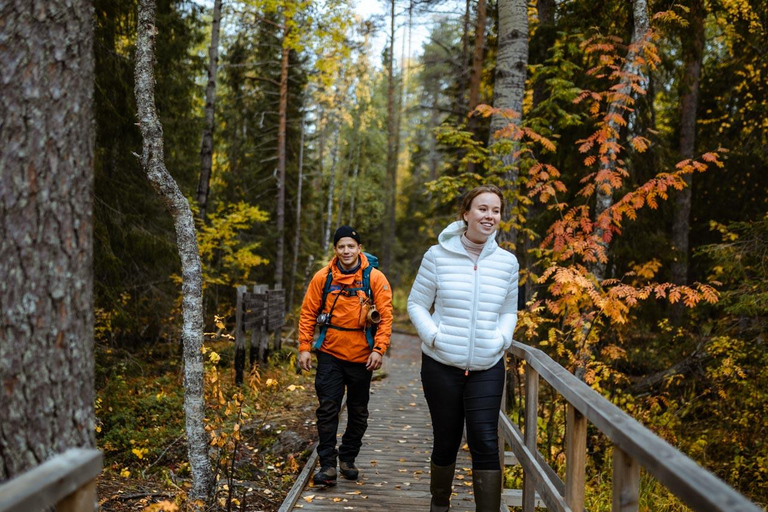 Rovaniemi: Guided tour in Arctic Circle Trekking area
