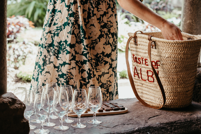 Albi: Tour gastronómico e pelo mercado com degustações e passeio histórico