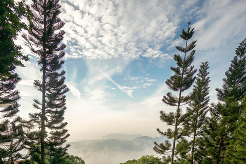 Sunrise at Penang Hill, Kek Lok Si Temple, and Market Tour