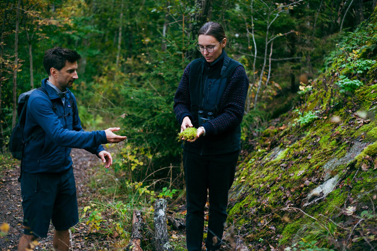 Stockholm: Vandring, utomhusmatlagning och kallvattenflytningPickup from Stockholm - drop-off Vaxholm
