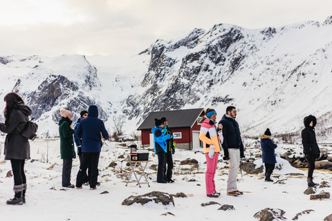 Tromsø: Tour del paesaggio artico e dei fiordi con snack