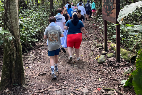 San Juan / Caroline: excursion dans la forêt nationale d'El Yunque avec randonnée