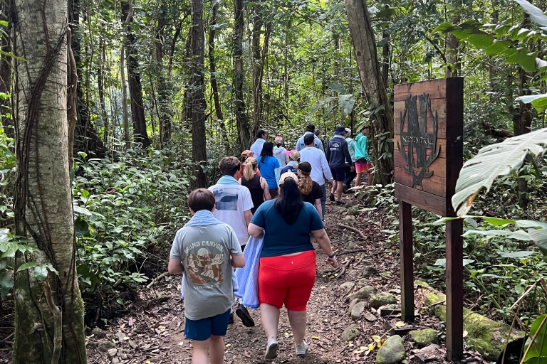 San Juan/Carolina: viaje al bosque nacional El Yunque con caminata