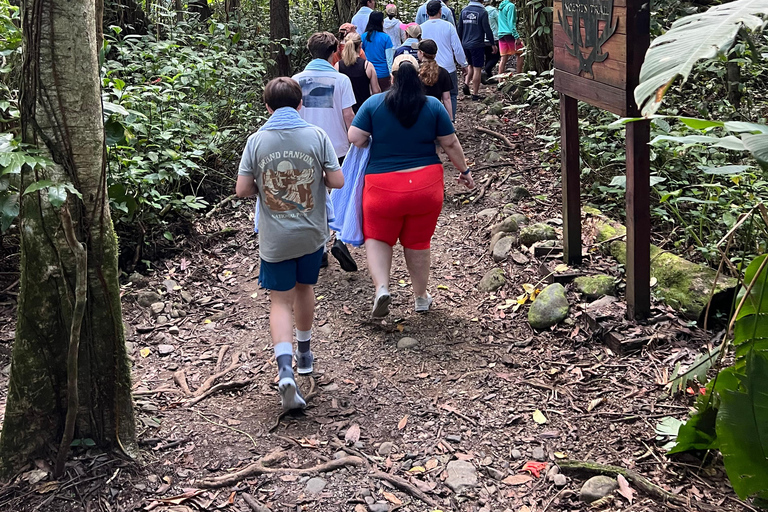 San Juan / Caroline: excursion dans la forêt nationale d'El Yunque avec randonnée