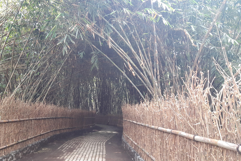 Bali: Penglipuran Village, Waterfall, and Night Market Tour