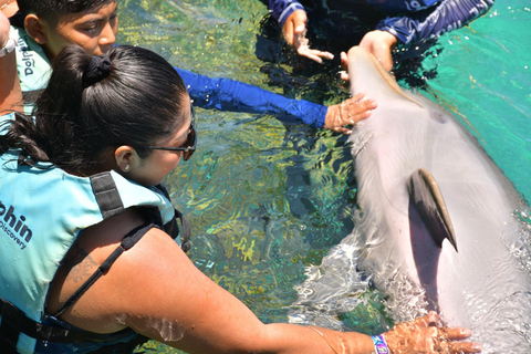 CANCUN: Catamaran and Dolphin Connection at Isla Mujeres
