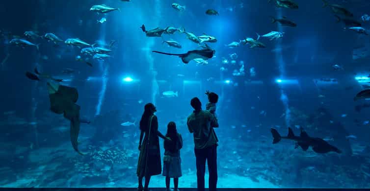 Singapore: Singapore Oceanarium Entrance E-Ticket photo 4