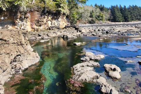 Vancouver Island: Jurtenaufenthalt, Wasserfall, Strände und Skywalk