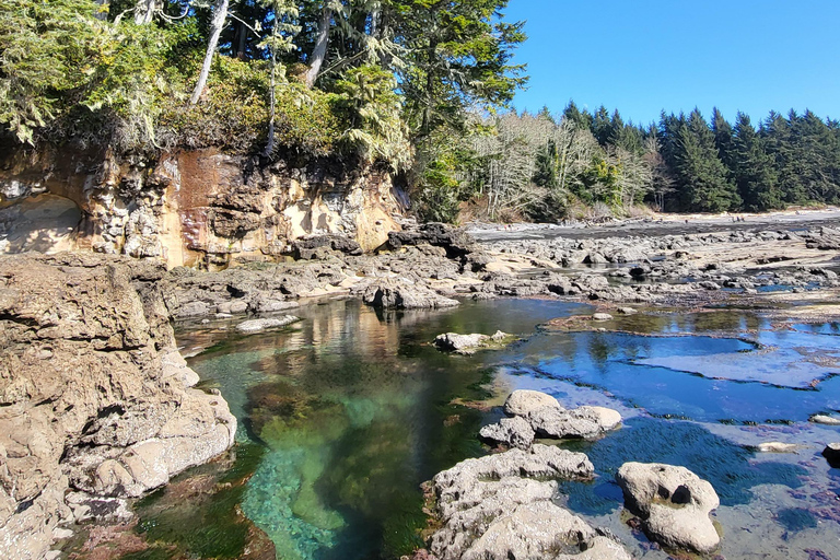 Vancouver Island: Jurtenaufenthalt, Wasserfall, Strände und Skywalk