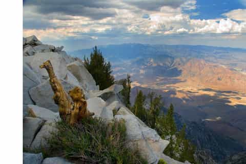 The BEST Palm Springs Nature adventure 2025 FREE Cancellation