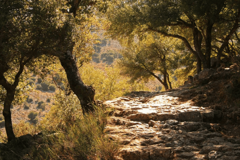 D'Elounda: visite privée de la grotte de Zeus et du palais de KnossosVoyage privé en limousine pour 3 personnes