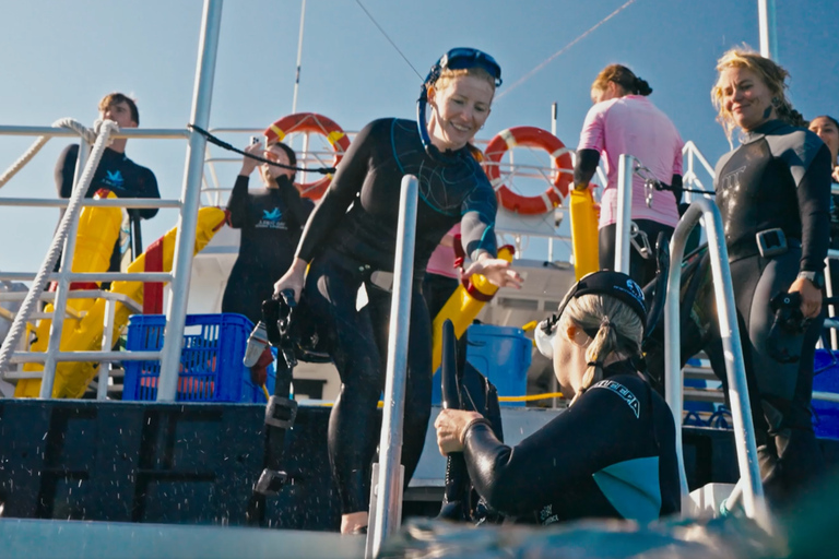 Perth: 2-Day Pinnacles, Sea Lions, and Seafood Tour