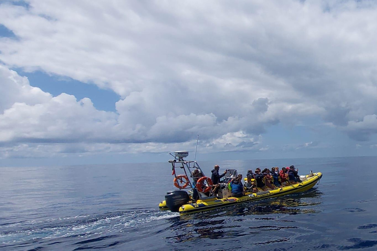 AUSFLUG NACH CORVO MIT DEM BOOT