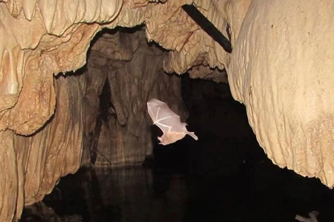 Bayano Caves Tour with Boat Ride and Kayaking