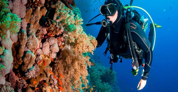 Bayahibe: Catalina Island Scuba Diving Tour with Lunch