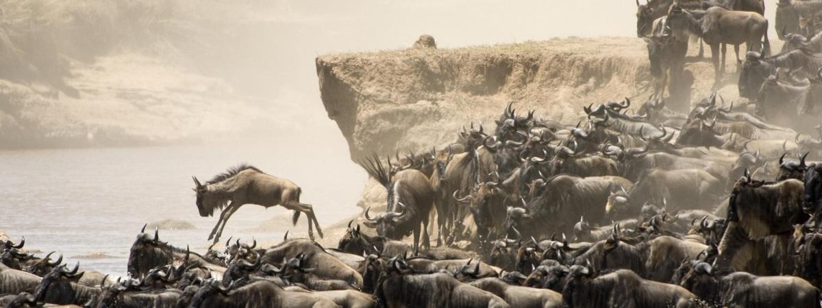 3 Jours De Safari En Jeep 4x4 Pour La Migration Des Gnous Dans La