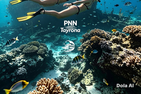 From Santa Marta: Free Diving in Tayrona National Park Free Diving in Tayrona National Park