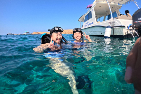 Omán: Excursión de snorkel a la isla de Daymaniyat con equipo incluido.Omán: Excursión de snorkel a la isla de Daymaniyat con equipo incluido