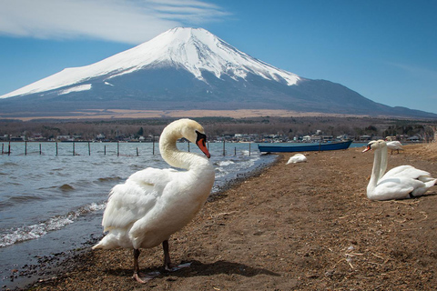 Monte Fuji: Oshino Hakkai, Hakone, Excursión de un día en teleférico OwakudaniEstación de Tokio 8:00