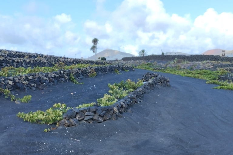 Winetourism in Lanzarote: the first vineyards in Masdache