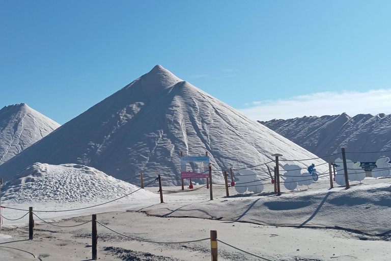 From Alicante and Torrevieja: Excursion to Tabarca, Santa Pola and Laguna Rosa Excursion in Spanish from Alicante