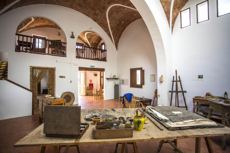 Bilet wstępu | Fundació Mas Miró - Mont-roig del Camp