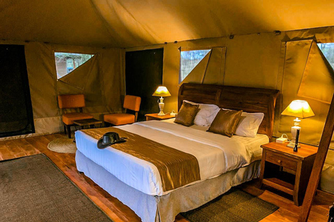 Following The Great Migration Safari in Style – 2025