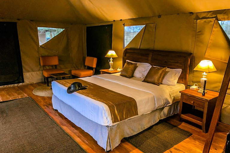 Following The Great Migration Safari in Style – 2025