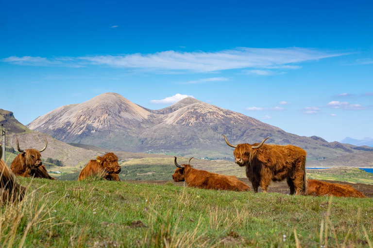 Tour privado de un día al famoso Glenfinnan, Glencoe y másVehículo privado 5-7 pasajeros