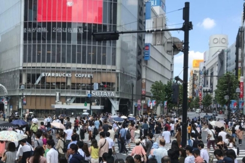 Komplette Tokio-Tour an einem Tag, besuche alle 10 beliebten Sehenswürdigkeiten