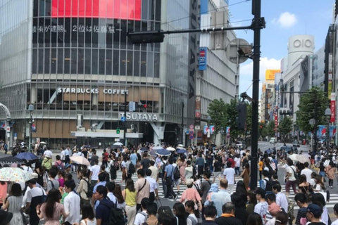 Tour di Tokyo: 10 punti salienti della città Tour guidato di un giorno interoTokyo: Tour completo in un giorno, visita tutte e 10 le attrazioni più popolari