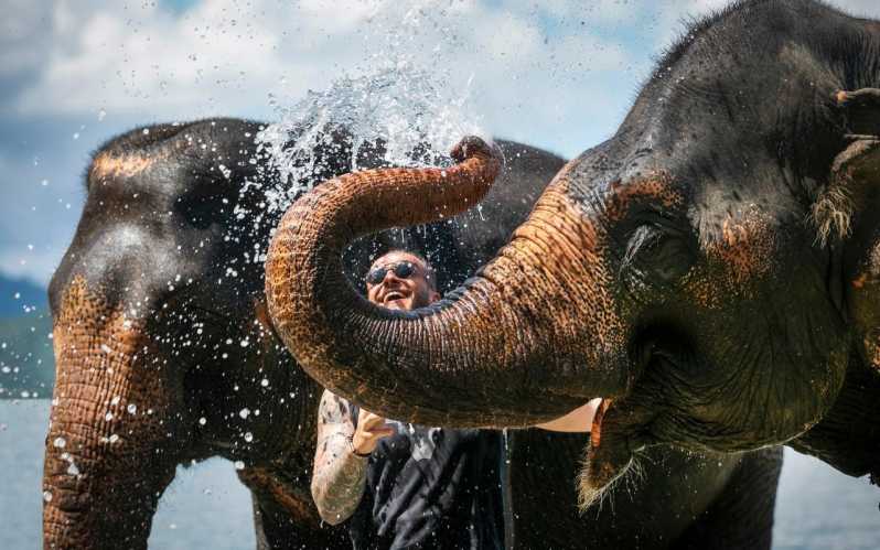 Phuket: Elefántgondozó tábor látogatása és elefántséta a dzsungelben