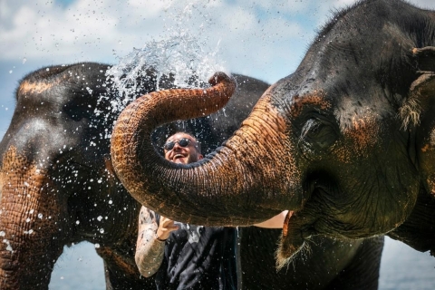 Privatstrand mit Bade- und Pflegeelefanten