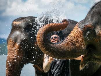 Пхукет: однодневная поездка в лагерь слонов Lily Elephant Camp с пляжем