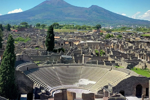 Privédag: Vesuviaanse schatten: Pompeii, Herculaneum, wijnEen dag in de Vesuviaanse schatten: Pompeii, Herculaneum, wijn