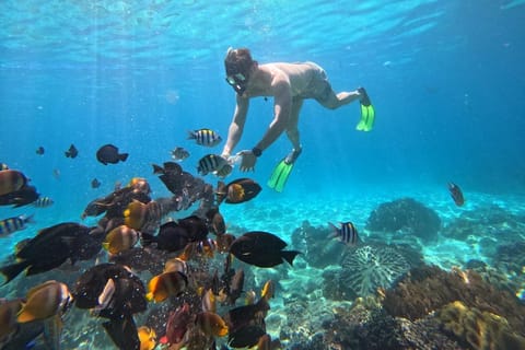 Bali Blue Lagoon Snorkeling with Private Guide & East Tour