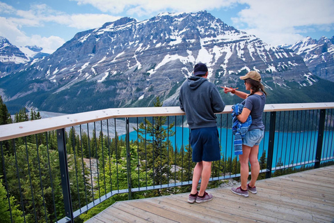 Z Banff: Transfer do Lake Louise i Moraine Lake.