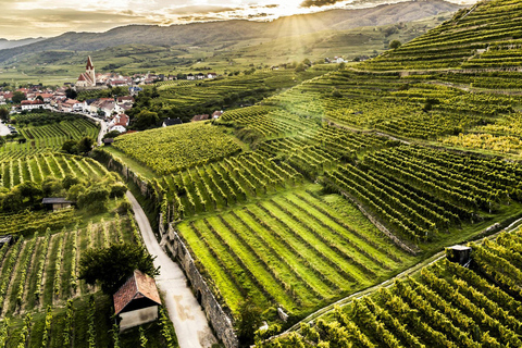 Vienna: Wachau, Melk, Hallstatt e Salisburgo con gita in barcaTour di gruppo