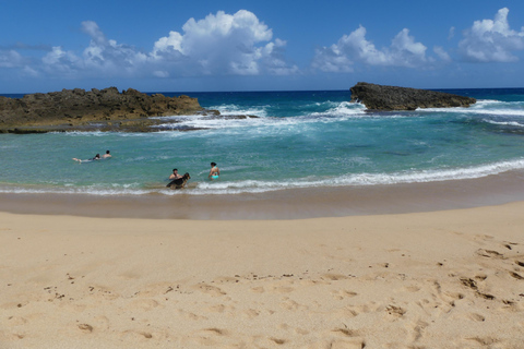 Visite de la grotte des Indiens Taino et de la plage avec transportVisite de la grotte et de la plage des Indiens Taino avec transport