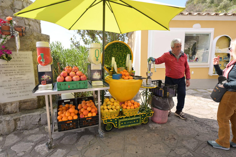 Wycieczka na wybrzeże Amalfi, do Ravello i Pompejów z Neapolu